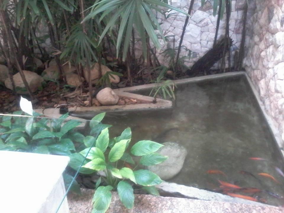 Cortese Hotel 3*